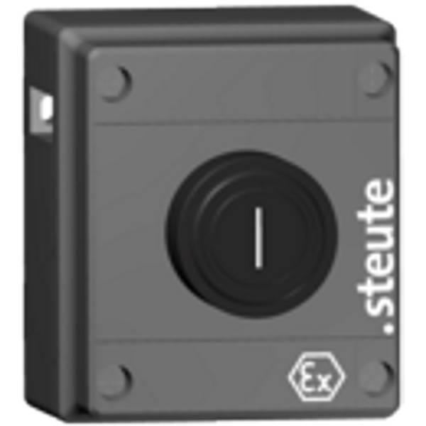 6810013101 Steute   